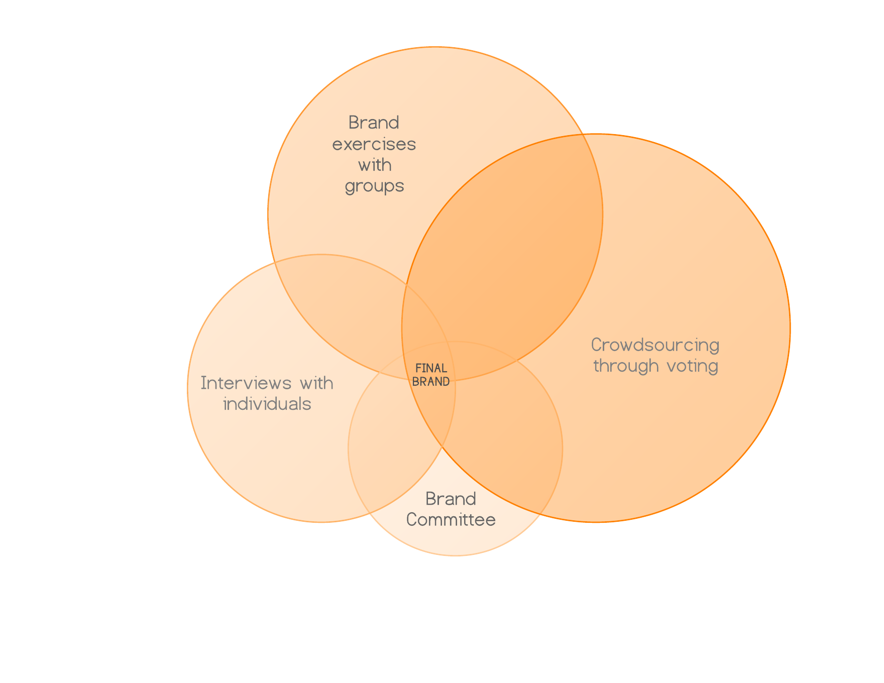 A venn diagram with four overlapping circles to show our re-branding process.