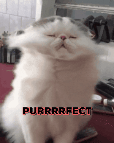 Gif of a cat purring with its fur flying and the word Purrrrrrrfect
